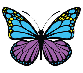 Butterfly color silhouette, isolated on a white background