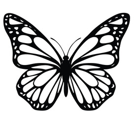 Butterfly silhouette, isolated on a white background