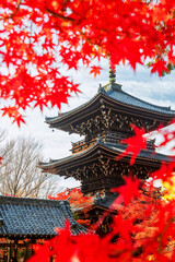 Vertical view of pagoda with red maple leaves at Shinnyodo, Kyoto