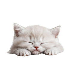 A fluffy white kitten peacefully sleeping radiating calm and cuteness, Creating a cozy and peaceful scene | Isolated Transparent Background Generative Ai.