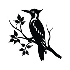 woodpecker on a tree branch 