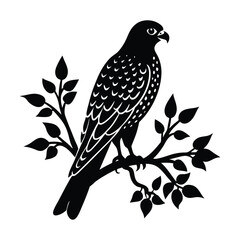 falcon on a tree branch
