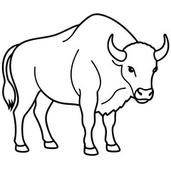 Minimal Buffalo Sketch in Vector
