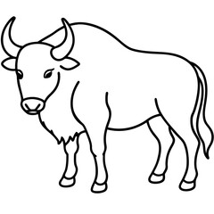 Obraz premium Minimal Buffalo Sketch in Vector