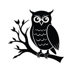 owl on branch