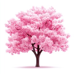 A vibrant pink tree with lush blossoms, symbolizing beauty and the arrival of spring.