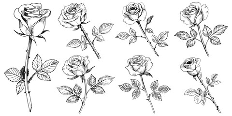Rose clipart black and white sketch featuring hand drawn floral illustrations rose flower clipart vector outline design simple leaves perfect for wedding art tattoo and printable flower decoration