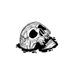 human skull isolated on white