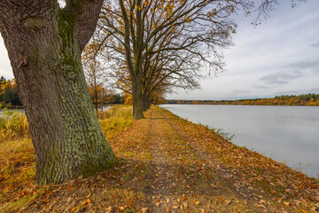 Typical autumn landscape in Trebonsko region, Velky Sustov pond near Suchdol nad Luznici, Southern...