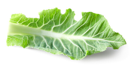 cauliflower leaf isolated on white background. clipping path