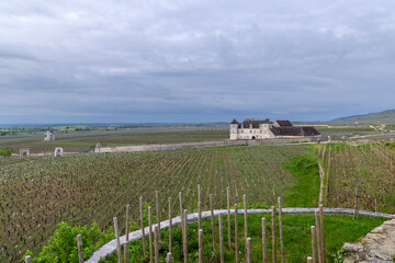 Fototapeta premium Typical vineyards near Clos de Vougeot, Cote de Nuits, Burgundy, France