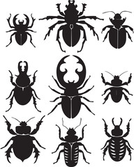 Set of beetles. Hand drawn vector illustration