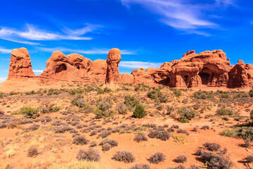 Fototapeta premium A desert landscape with a few trees and a blue sky