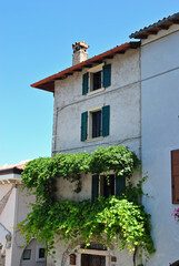Obraz premium Overgrown Plants on Mediteranean Apartment Block