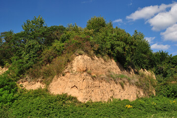 Overgrown Stone Cliffs in Close Up seen against Blue Sky 