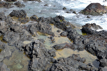 Rough Stone Beach with Rough Rocks and Tide Pools with Distant Sea Waves