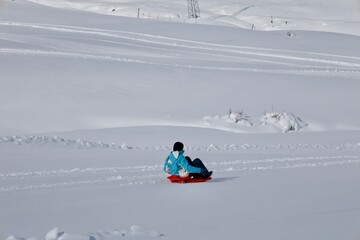 Snowy playful jump. High quality photo