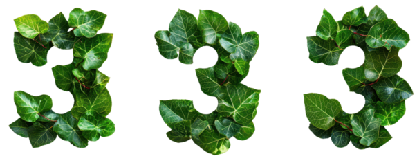 Three green numbers made of ivy leaves on transparency background