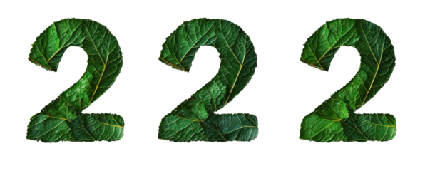 Green leaf numbers 222, symbolizing nature and growth, vibrant design