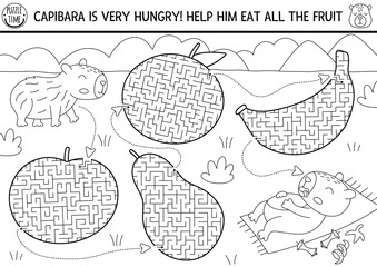 Capybara black and white maze for kids geometrical fruits. Hungry capibara preschool printable activity with nature landscape. Labyrinth game, coloring page, puzzle with cute animal eating tangerine