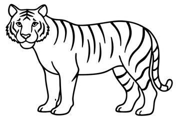 Minimalist Tiger Vector Illustration