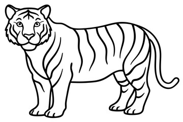 Minimalist Tiger Vector Illustration