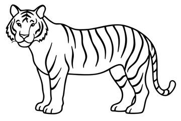 Minimalist Tiger Vector Illustration