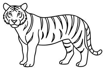 Minimalist Tiger Vector Illustration