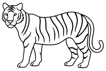 Minimalist Tiger Vector Illustration