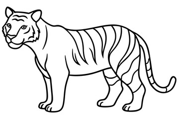 Minimalist Tiger Vector Illustration