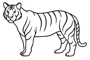 Minimalist Tiger Vector Illustration