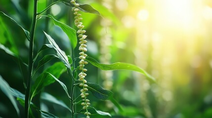 Sunlit foliage with delicate blooms showcasing botanical beauty and natural serenity