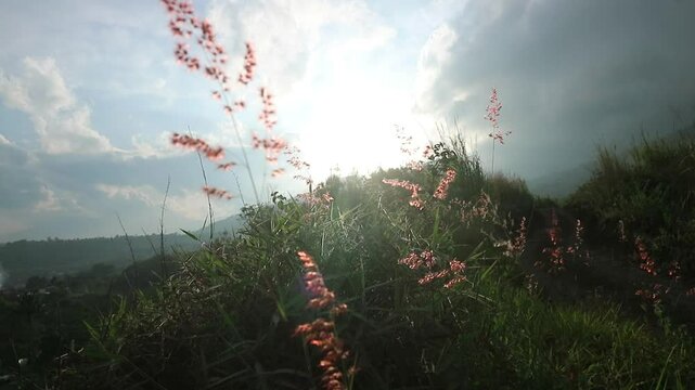 View of the sky at sunset on Mount Guntur, Garut, West Java