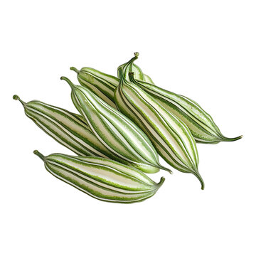A pile of ripe, striped snake gourds arranged diagonally, isolated on a transparent background for healthy food advertising visuals.