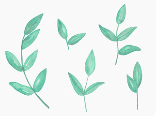 Watercolor Floral, watercolor blue green branches Illustration. Hand painted isolated on white background.