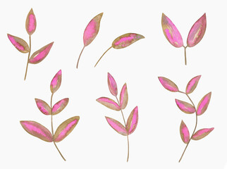 Watercolor Floral, watercolor pink brown branches Illustration. Hand painted isolated on white background.