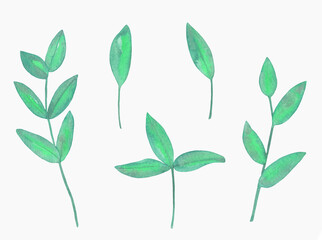 Watercolor Floral, watercolor blue green branches Illustration. Hand painted isolated on white background.