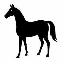 horse silhouette isolated on white