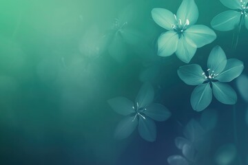 Soft, dreamy background with a gradient of cool teal and emerald green hues, creating an ethereal atmosphere. Perfect for backgrounds or a screensaver