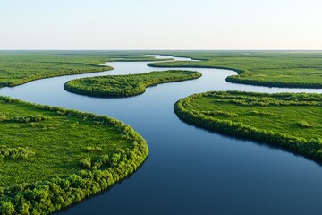 Aerial view of a winding river in lush greenery
