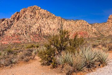 Red Rock Canyon