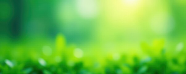 Obraz premium Blurred bokeh of light green and blue, suggesting fresh spring growth , organic, peaceful