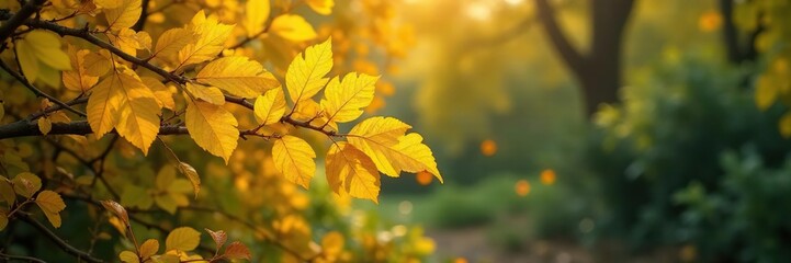 Fototapeta premium Yellow leaves rustling in gentle breeze amidst dense bush, foliage, wind, bush