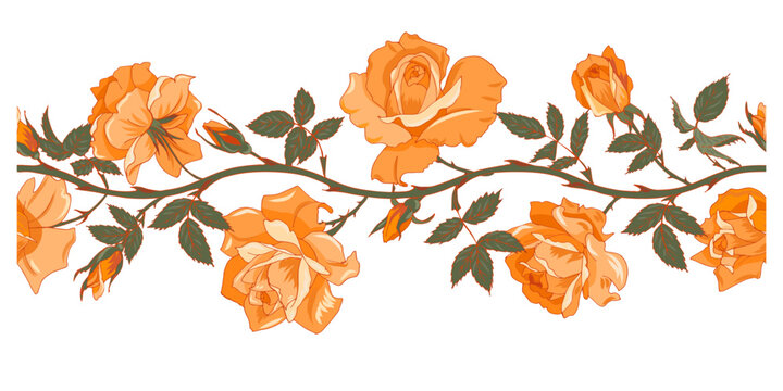 seamless border of yellow roses, climbing rose, vector illustration on a white background