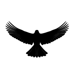 Fototapeta premium PNG of A majestic black silhouette of a soaring bird with wide open wings against a plain background. white or transparent Bg