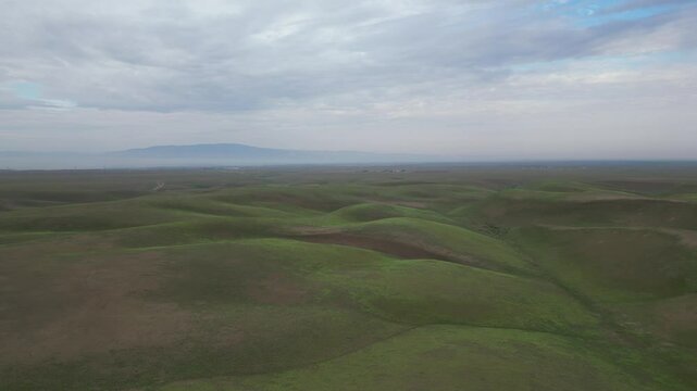 jungle of pistachios in Balkh Afghanistan