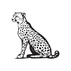 cheetah ready vector illustration