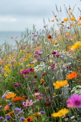 Vibrant Coastal Garden with Wildflowers and Grasses against Ocean View