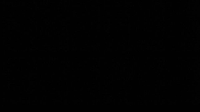Seamless looping stop motion animation of black wavy lines transforming on a white background.  Ideal for abstract, minimalist, or graphic projects.