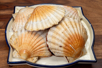 Atlantic bay scallops coquille St. James sea shells, in shells and cleaned, catch of the day in Normandy or Brittany, France on fish market